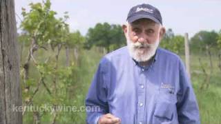 preview picture of video 'Vintage Kentucky Tastings - Meet the Winemaker: Jerry'