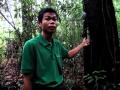 Phou Asa Trek Black Wood And The Scorpion Vine