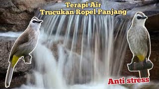 Download lagu terapi air ‼️trucukan Ropel Panjang mp3 Download lagu terapi air ‼️trucukan Ropel Panjang mp3