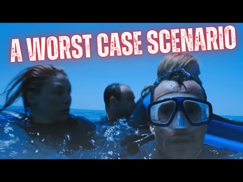 The Boat Left Them | Stranded at Sea in Komodo National Park