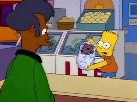 The Simpsons S05E04 - Kampf um Bobo - Eis beschaffen / Eisbeutel / Kopfbeutel [Deutsch/German]