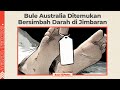 Bule Australia Ditemukan Bersimbah Darah Di Jimbaran