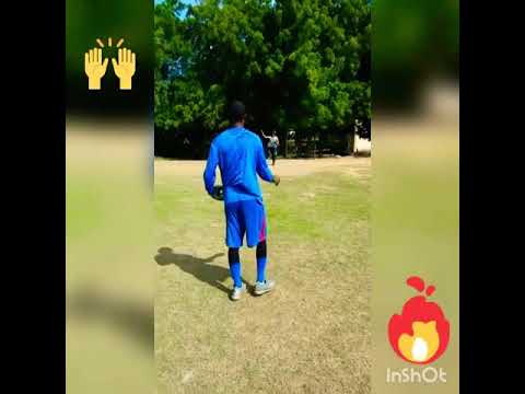 El Felino X Jerry El Sonido Perfecto Mi Sueño