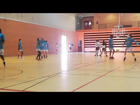 Alevin 2009 FEM Vs Menesiano