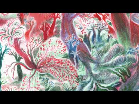 NOAH VANDEN ABEELE - Life (Official Audio)