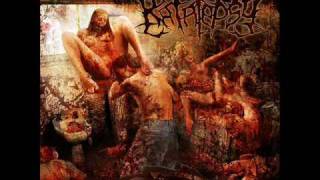 KATALEPSY-RABID(MORTICIAN COVER)