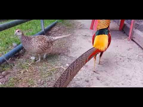 You vs The guy she tells you not worry about