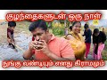 My Village Vlog With my family I Ice Apple 🍎 I Ravikumar Somu I SR I TAMIL