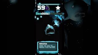 Seashine: Rare Makonui sighting! AKA Great white shark