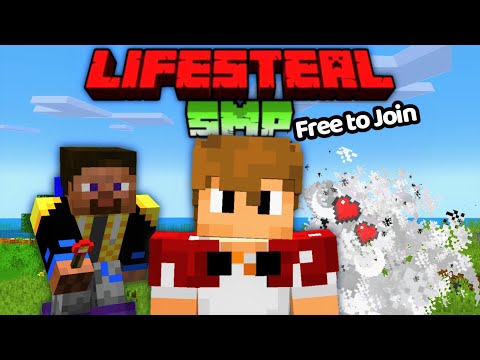 Tresure Toad - Public Lifesteal SMP (NEW Free to Join)