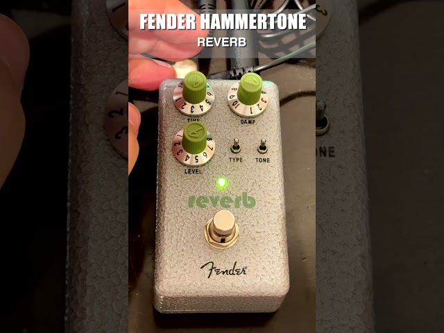 Vídeo relacionado con Fender Hammertone Reverb, Pedal de Efecto para Guitarra