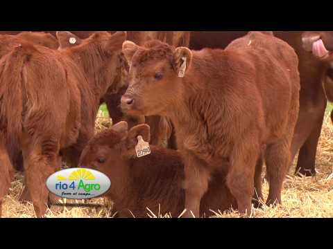 PROGRAMA RIO4AGRO 7 09 BLOQUE 1 - LA PAZ DE WERTHEIN