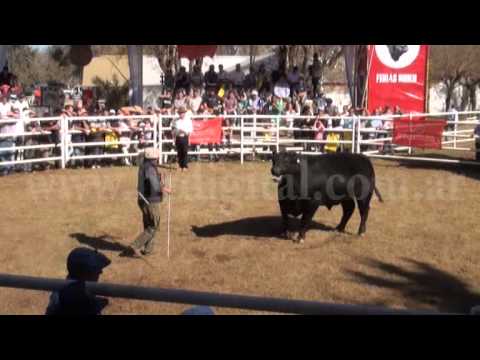 REMATE TORO CAMPEON Y RESERVADO GRAN CAMPEON   EXPO RURAL 2015
