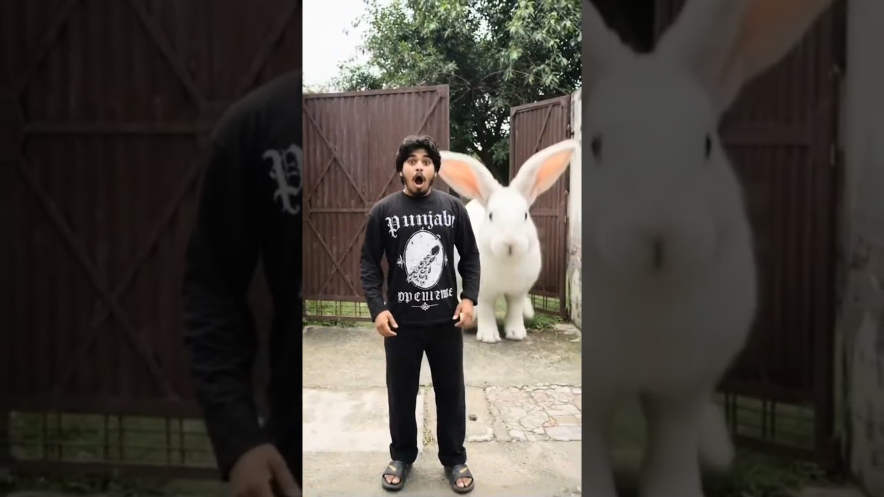 ali ke piche rebbit 🐇 ICC Women's T20 World Cup 2026 | #comedy​ #funny​ #shorts​ #ytshorts