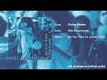 Wild Strawberries - Crying Shame [Official Audio]