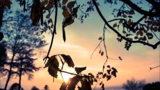 Mark Eliyahu - Tribe