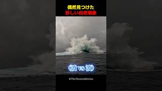 偶然見つけた珍しい自然現象