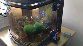 Arduino Controlled Automatic Glass Cleaner for a Curved Fish Tank: PROTOTYPE