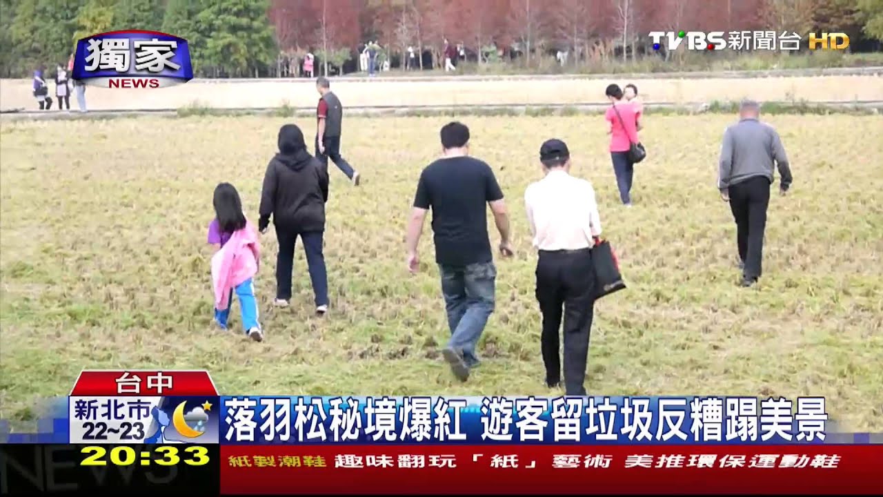 〈獨家〉落雨松秘境夯遊客樂　農民見亂象…心疼