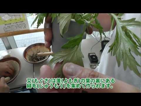 お灸に使う艾(もぐさ)の作り方