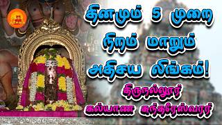 Temple video