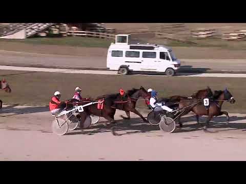 2023.02.04. 04. futam - KERESZTAPA DÍJ