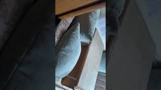 Fiat Ducato 2,8 tdi Hymer - Motorhome alkoven for sale - Image 4 | Autoline AU Fiat Ducato 2,8 tdi Hymer - Motorhome alkoven | Image 4 - Autoline