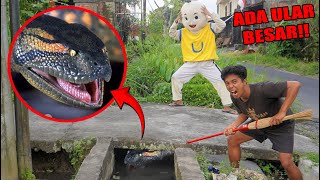 Download lagu THERE'S A LARGE TITANOBOA SNAKE IN THE DRAIN IN FRONT OF UPLIN'S HOUSE?! mp3 Download lagu THERE'S A LARGE TITANOBOA SNAKE IN THE DRAIN IN FRONT OF UPLIN'S HOUSE?! mp3