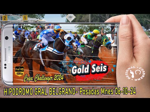 GOLD SEIS, El producto Nacional que enmudecio un Hipodromo- Posadas Mnes 06-10-24