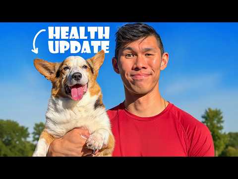 My CORGI'S Health Update 3 Years After Cancer Treatment || Life After College: Ep. 815