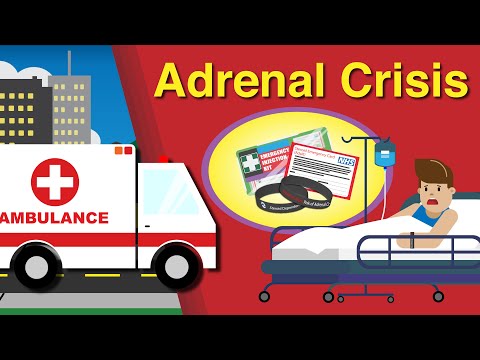 CoMICsLite Episode 3:  Addison's Disease: What is Adrenal Crisis & How to Manage It?