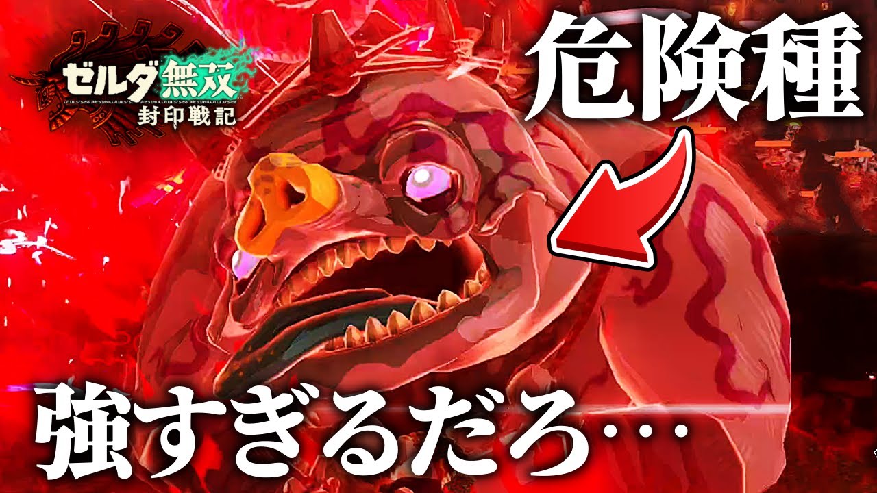 魔改造された『危険種』の魔物たちが強すぎる件について【ゼルダ無双 封印戦記】#30
