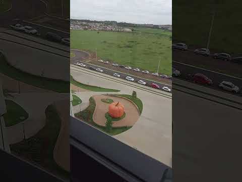 prefeitura de Rio Verde Goiás.