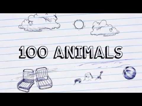 100 Animal sounds & pictures Video