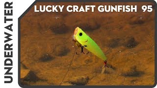 Lucky craft - gunfish 95