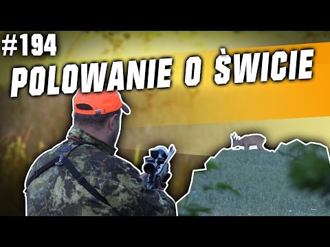 DarzBór odc 194 - Polowanie o świcie