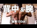 【背中トレ】現在の体を見せます!