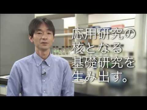 理学部 井川善也 教授 (合成有機化学分野・生物化学)【Tom's TV】 2016.7放送