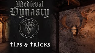 Medieval Dynasty Tips & Tricks ep. 5 Trophies