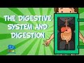 The Digestive System And Digestion Educational Video For Kids