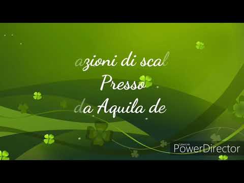 Bortuzzo & Barani Cavalli in Vigna