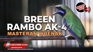 Download lagu 🔴Masteran Cucak Cungkok GACOR Bren Rambo AK-47 mp3