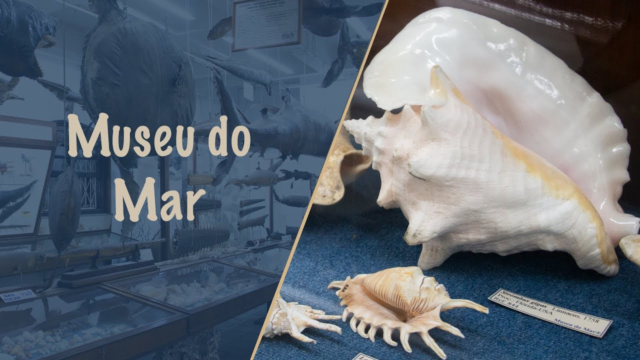 Museu do Mar: um dos principais pontos turísticos de Santos