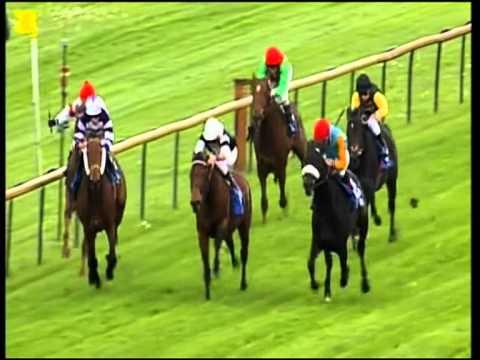 Bremen, Preis der Mitglieder des Bremer Rennvereins, 13.5.2012 - Sieger: Wilson