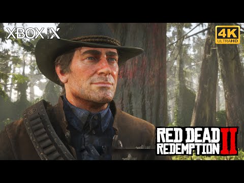 Red Dead Redemption 2 | Part 33: American Distillation | Walkthrough | No Commentary