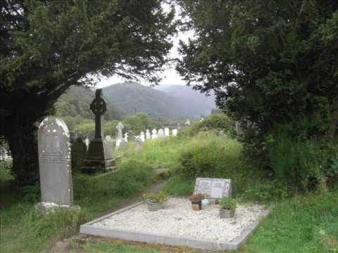 Irish Descendants - The Dublin Reel