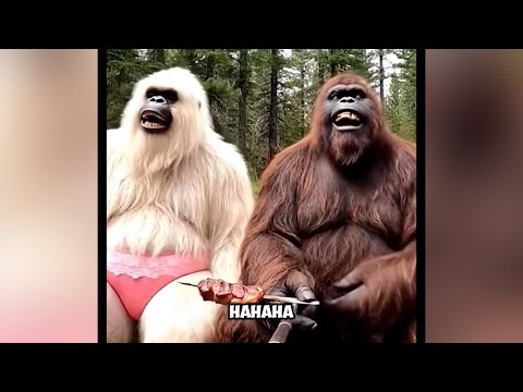 Funniest Bigfoot & Yeti Jokes
