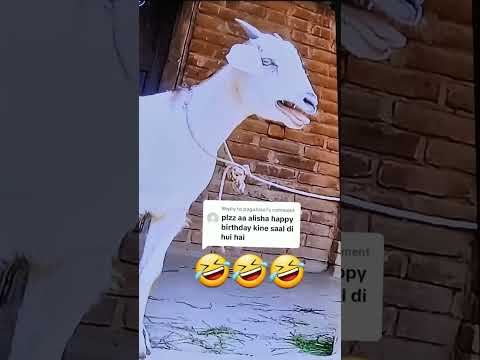 Happy birthday || Request done 👍 for Alisha || #viral#shortvideo #1000subscriber #10millionviews