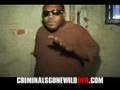 CRIMINALS GONE WILD Vol 1 TRAILER