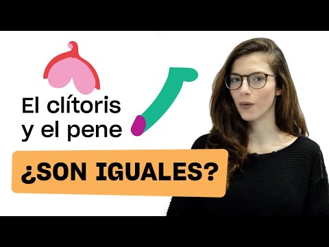 ¿Qué tienen en común el clítoris y el pene? 🤔